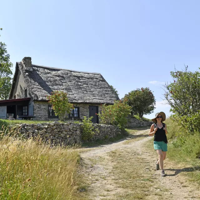 Randonnée estivale avec vue sur des jasseries et la nature environnante.