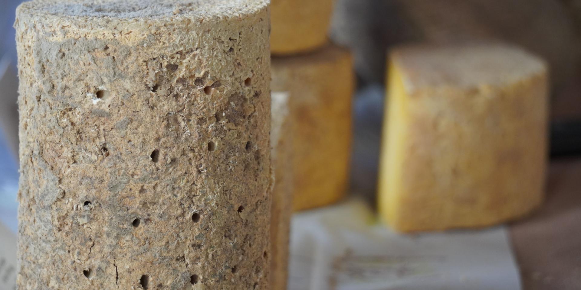 Reportage Marche Ambert Cyclo Aurelp 61