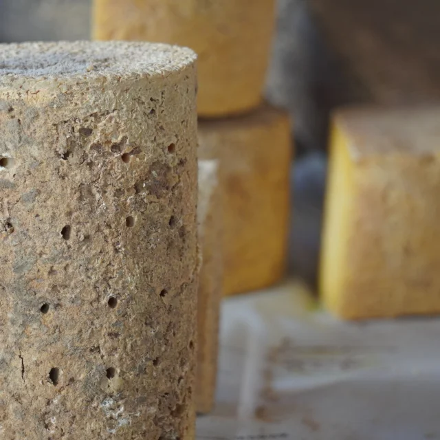 Reportage Marche Ambert Cyclo Aurelp 61