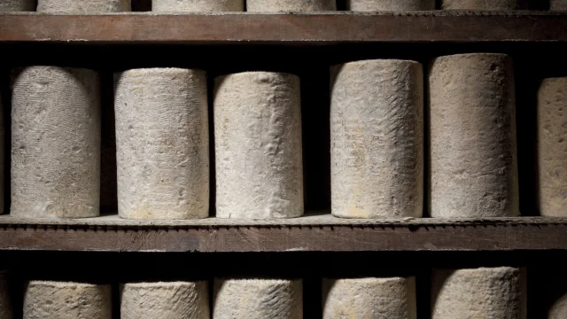 Fourme d'Ambert