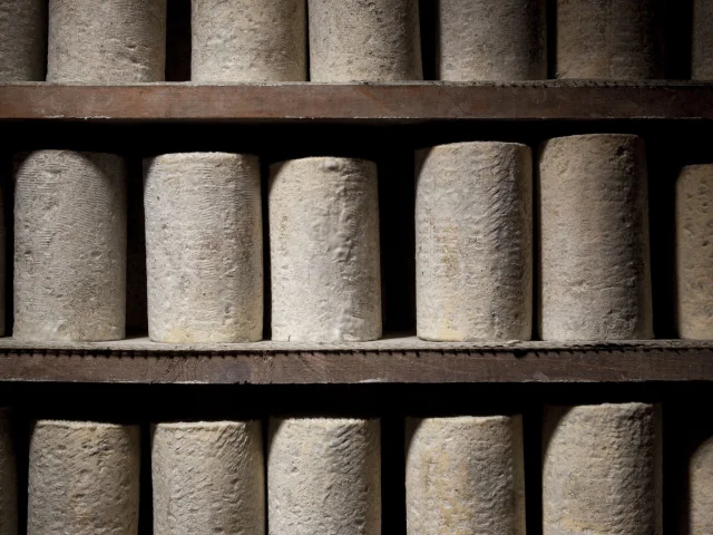 Fourme d'Ambert