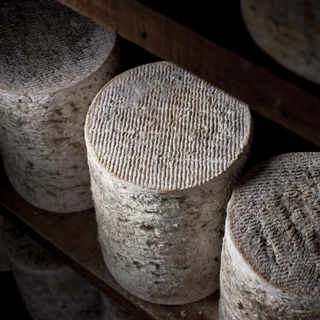 Fourme cave de la ferme des Supeyres ALF 1