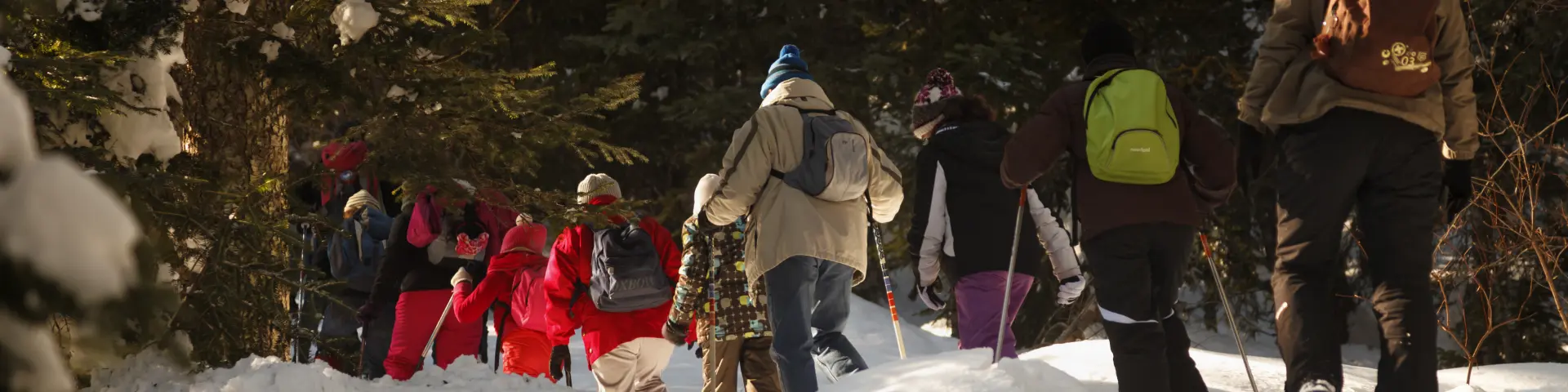 Groupe de personnes marchant dans la neige, entourés de sapins, en randonnée hivernale à Prabouré.
