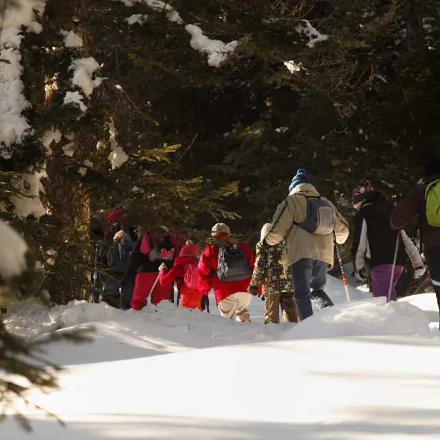 Groupe de personnes marchant dans la neige, entourés de sapins, en randonnée hivernale à Prabouré.
