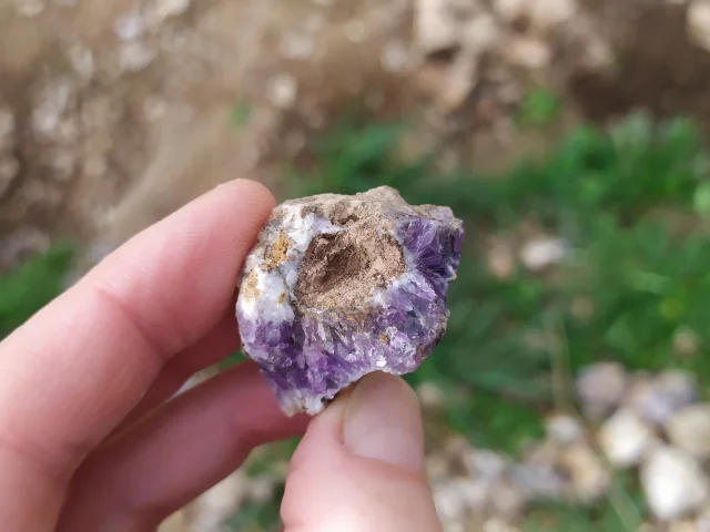 Petite améthyste dans une main, représentant la rareté et la beauté des cristaux d'Auvergne.