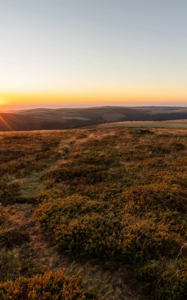 Coucher de soleil doré sur les Hautes-Chaumes.
