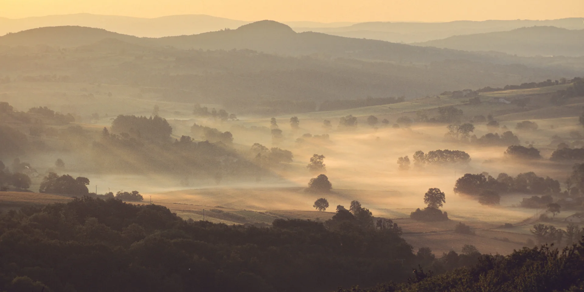 Paysage vallonné du Livradois-Forez en Auvergne au lever du soleil, avec brume légère et arbres baignés de lumière dorée.