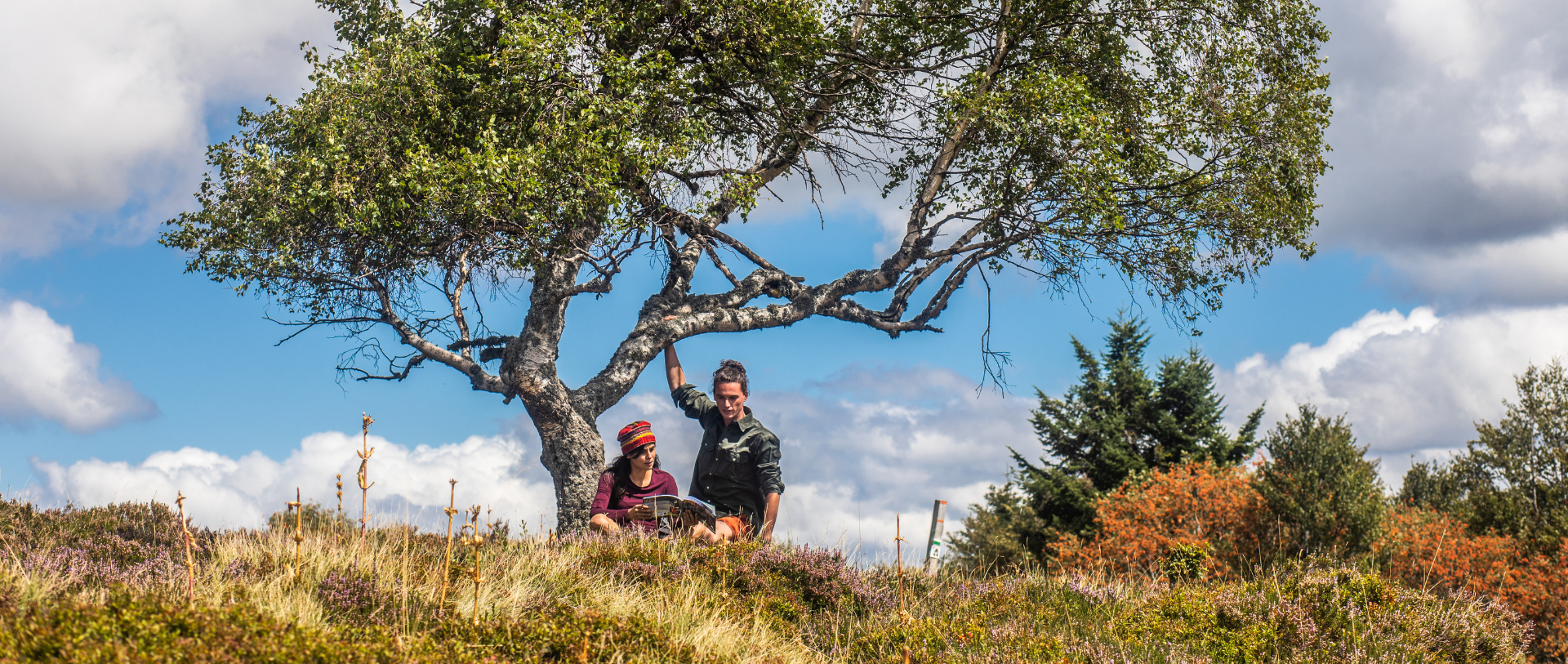Randonnée en Auvergne Livradois-Forez