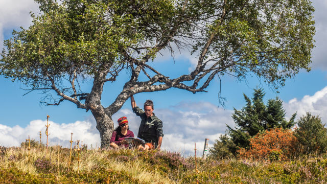 Green Geometric Blank A4 Document Landscape 7