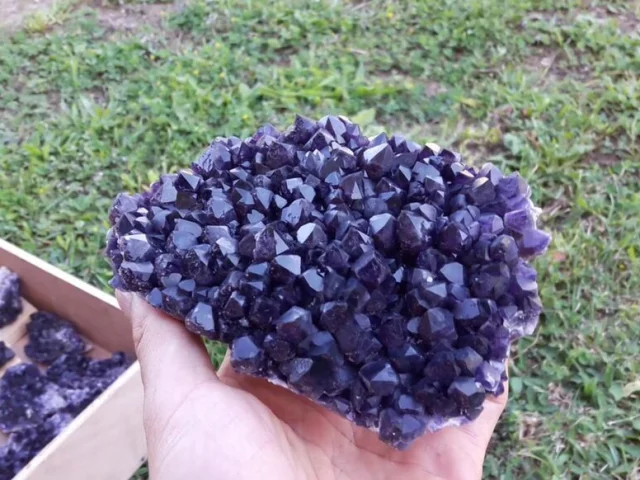 photo d'améthystes