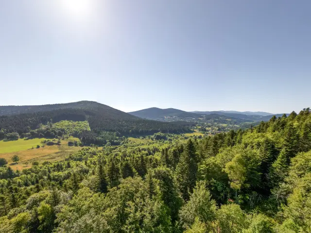 Paysage du Livradois-Forez en Auvergne, destination grand'R Bois Noirs Oxygène
