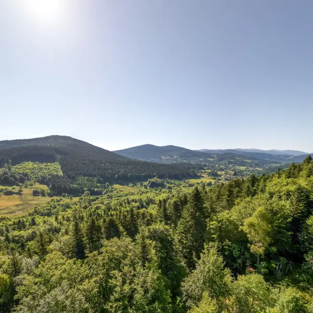 Paysage du Livradois-Forez en Auvergne, destination grand'R Bois Noirs Oxygène