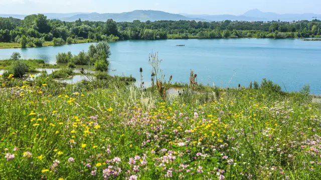 Ecopôle en livradois-Forez avec vue sur la chaîne des Puys en Auvergne