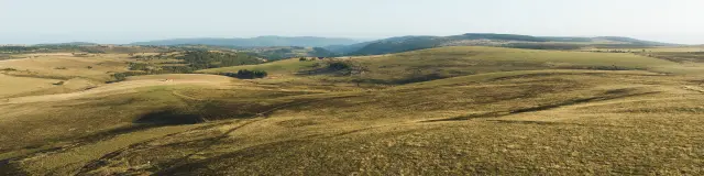 col des supeyres sur Hautes Chaumes en Livradois-Forez, Auvergne