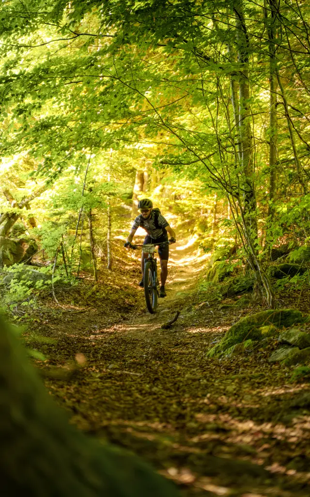 destination-grand-r-bois-noirs-oxygene-2025 9