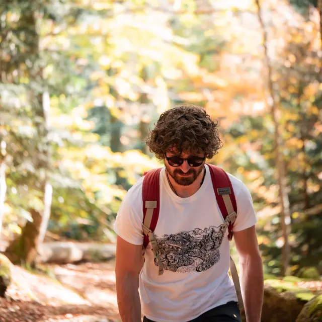 Randonnée en Livradois Forez