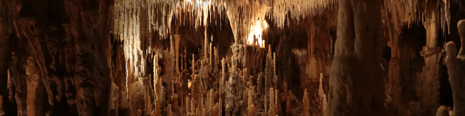 Salles des concrétions naturelles - Grottes de Cougnac