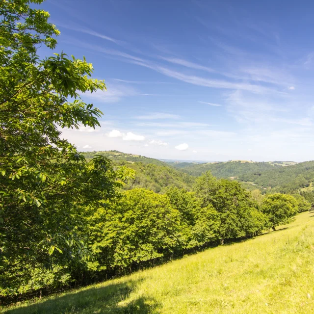 Paysage du Ségala - vue vers St Laurent les Tours