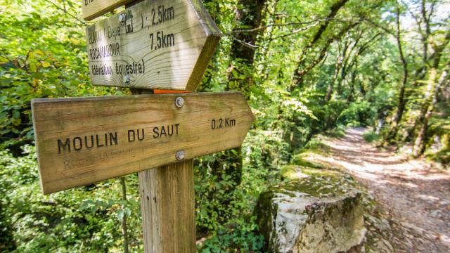 Circuit rando du Moulin du Saut 