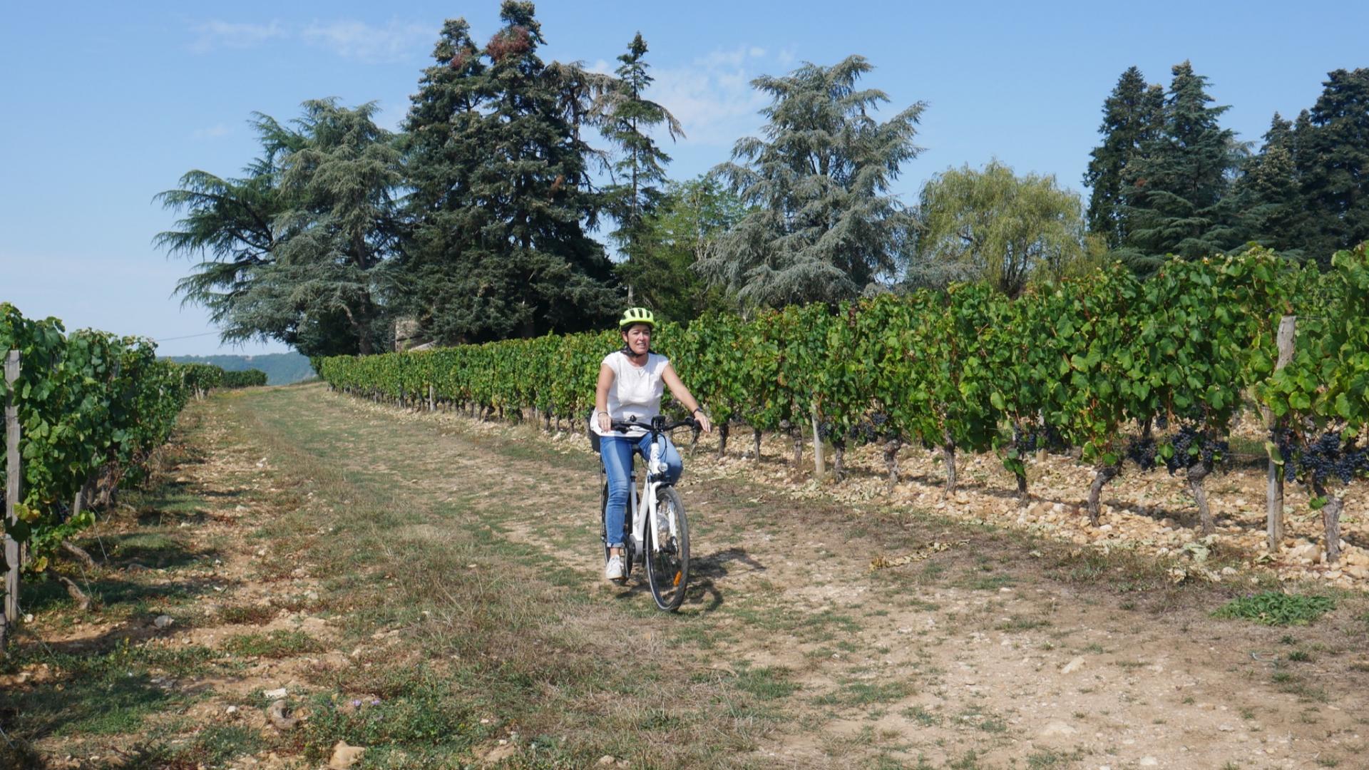 A Velo Dans Les Vignes 12cc Seguy Lot Tourisme