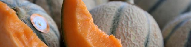 Melon du Quercy