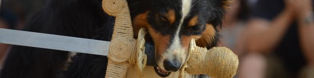 Gourdonmedievales6ccmabout