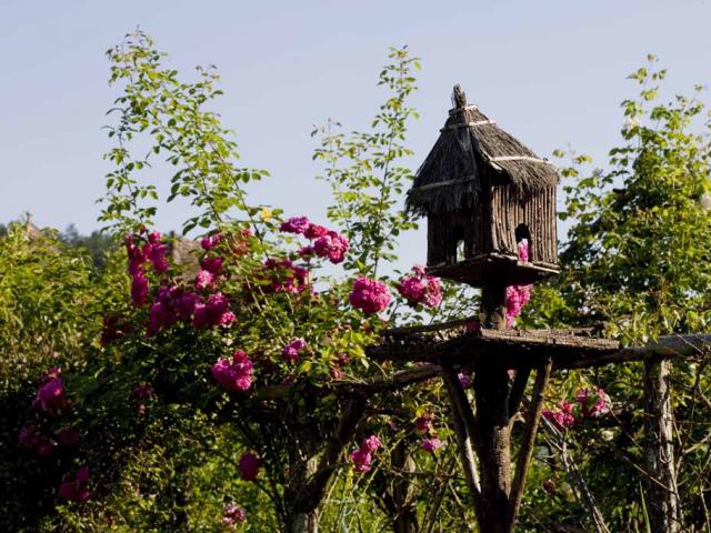 Jardindessens