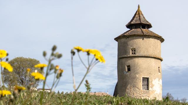 Pigeonier à Lalbenque