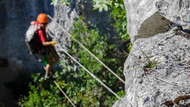 Via Ferrata cele