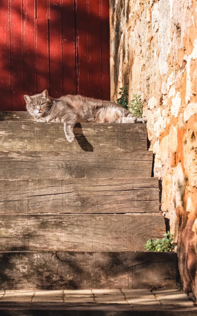 Farniente à Loubressac
