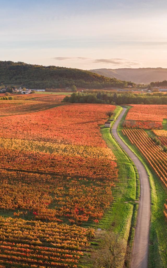 Vignoble de Cahors en automne à Parnac