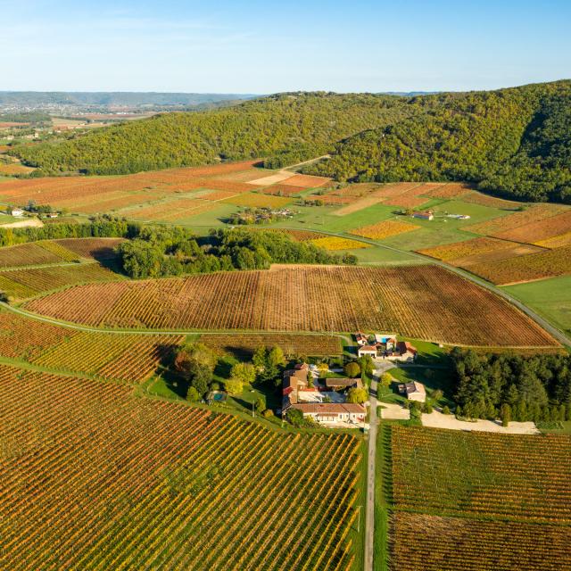 Vue aériene du Vignoble de Cahors - le Caillau à Vire-sur-Lot