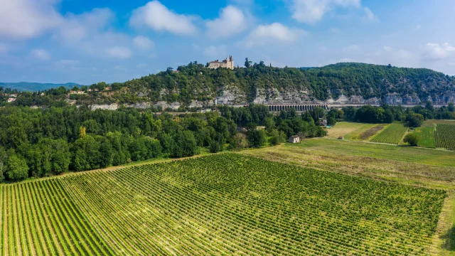 Mercues et les vignes