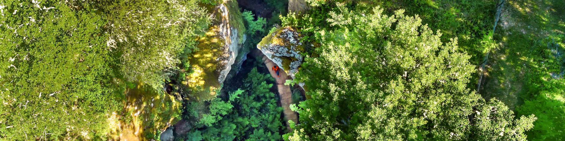 Phosphatières de Bach