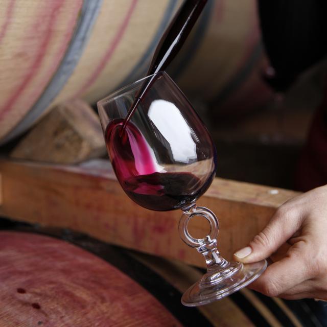 Dégustation de vin de Cahors