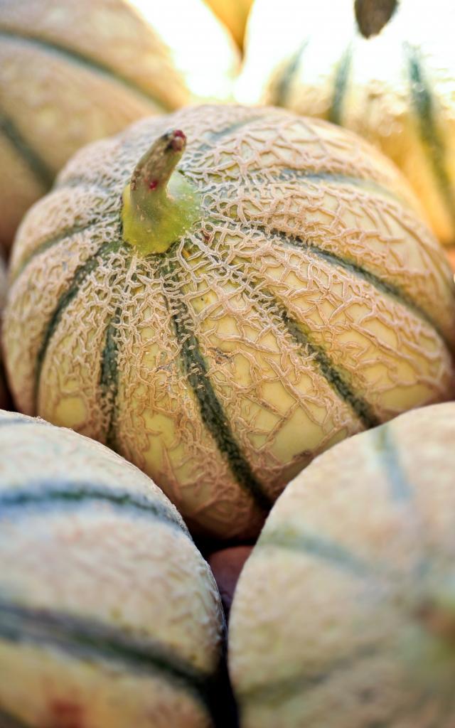 Melon du Quercy