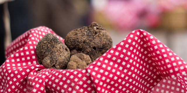 Au Marché aux truffes à Lalbenque