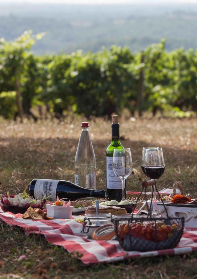 Pique-nique dans les vignes
