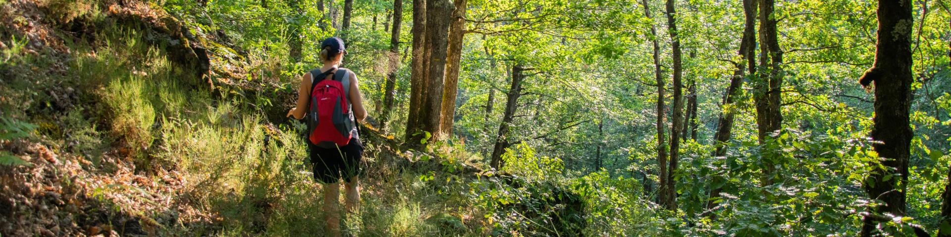 Descente du chemin vers le gouffre des cloches