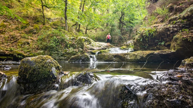 Ruisseaux du Ségala