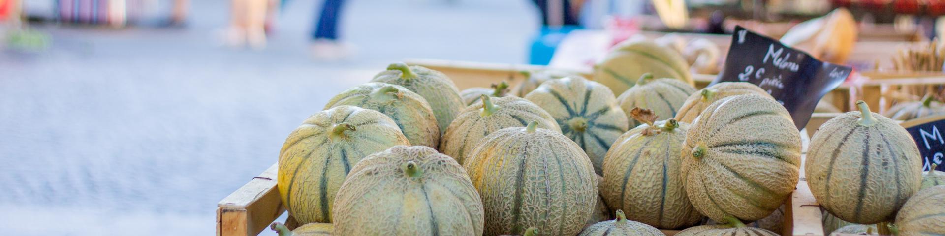 Melons sur le marché de Cahors