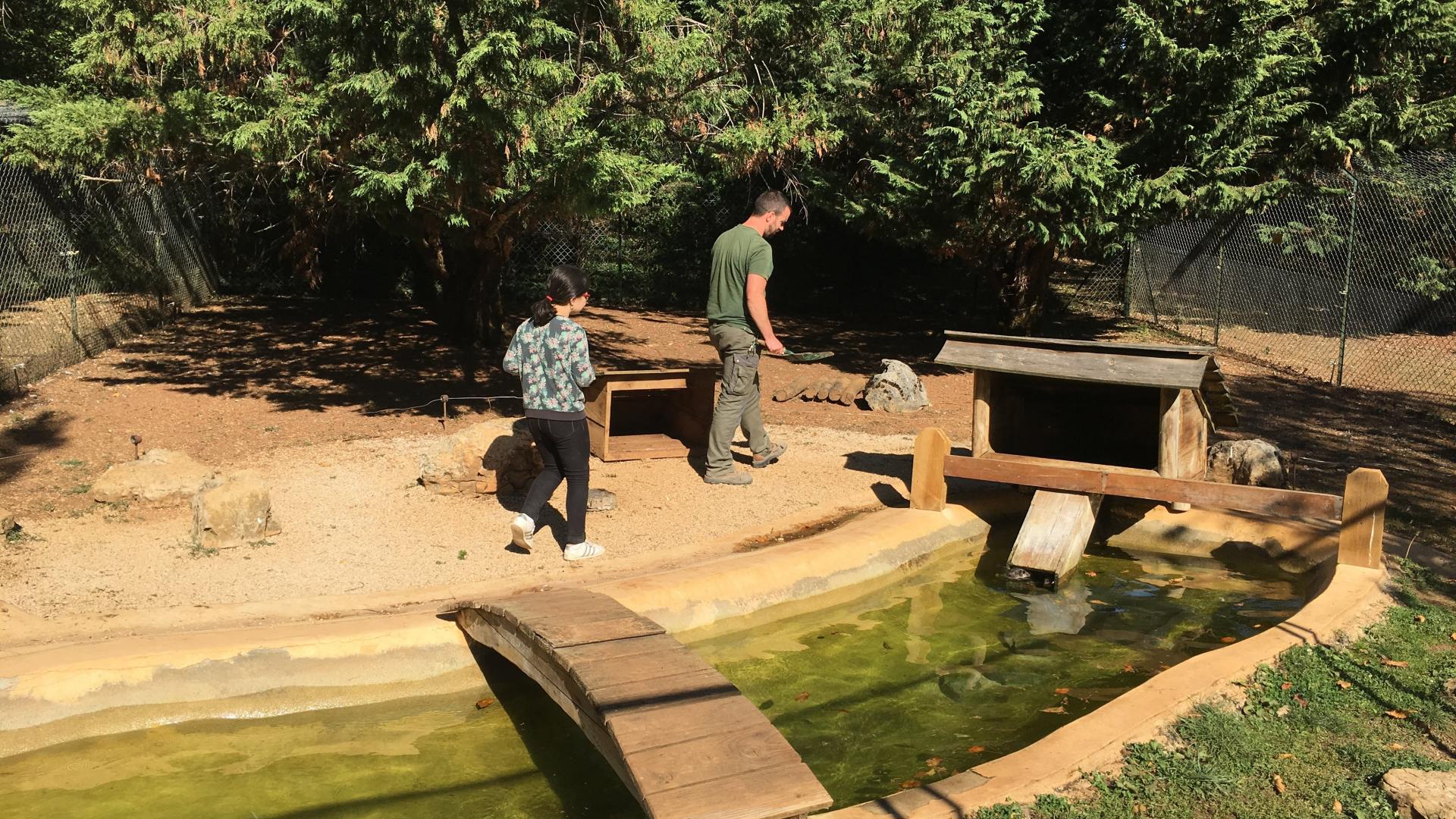 Soigneur d’un jour au parc animalier de Gramat