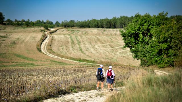Sur le chemin de St Jacques en Quercy Blanc