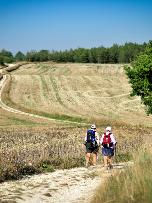 Sur le chemin de St Jacques en Quercy Blanc