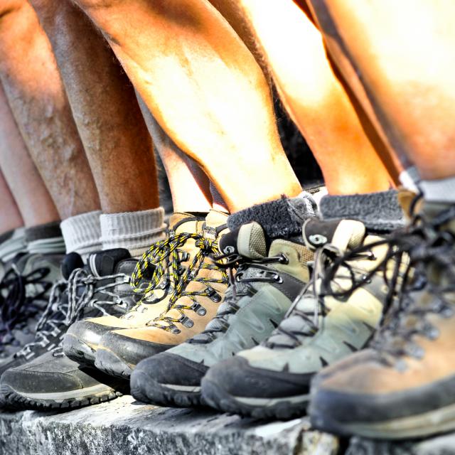 Chaussure de randonnée