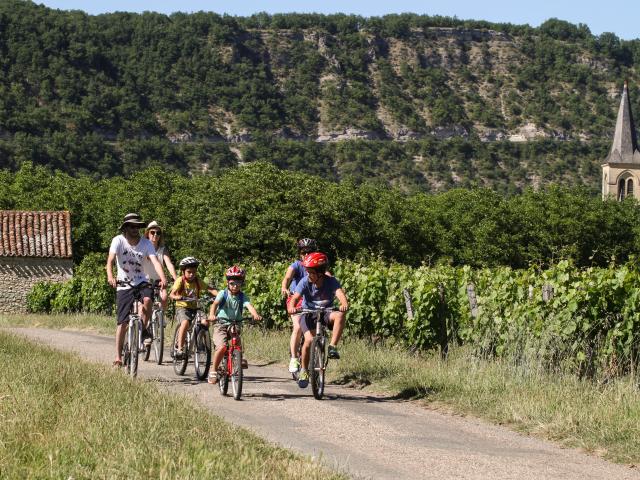 A vélo dans les vignes - Véloroute Vallée du Lot