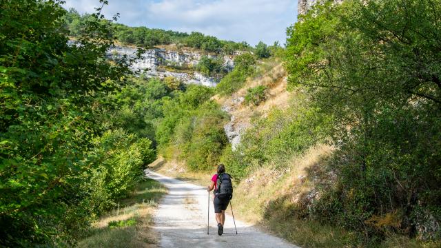 Sur le GR6 - vallée de l'Alzou