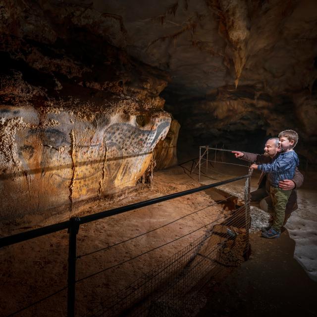 Chevaux ponctués - père et fils - vue serrée - Grotte du Pech Merle