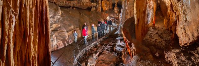 Salle des disques avec public - Grotte du Pech Merle.