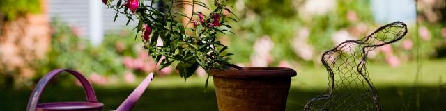 Arrosoir et pot de Fleurs